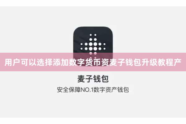 用户可以选择添加数字货币资麦子钱包升级教程产